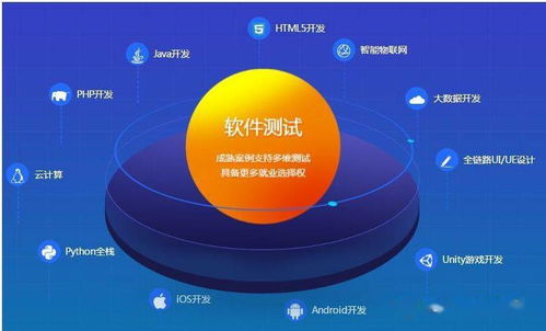 建立高效的软件测试管理体系 技术推广与实施指南
