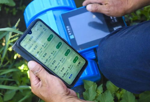 湖南 巧用互联网“新农具”，创新农业技术推广模式